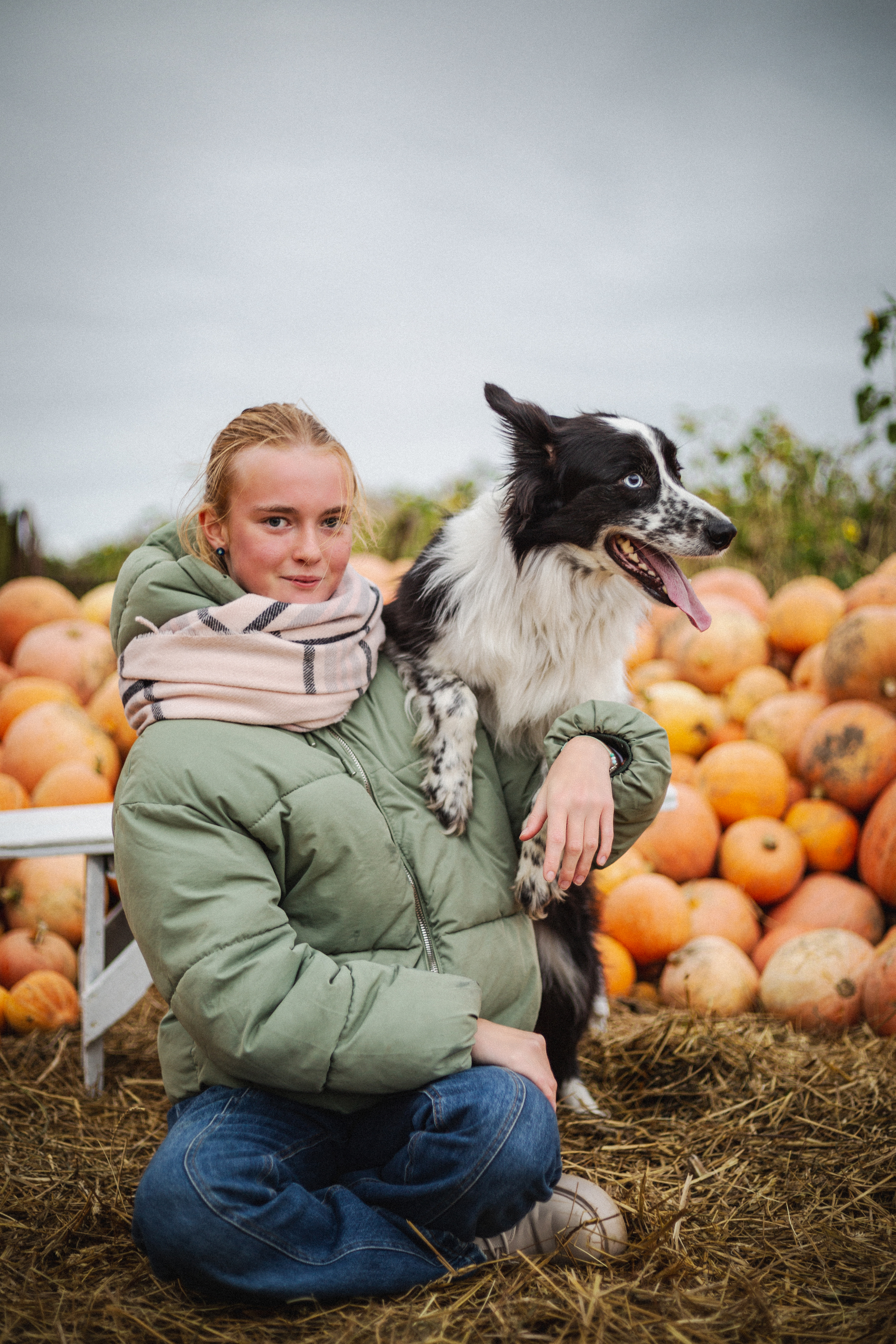 Gyvūnų priežiūra